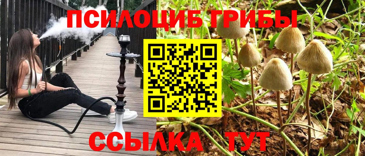 Псилоцибиновые грибы Cubensis  Вход с VPN  где купить наркоту  Ртищево 