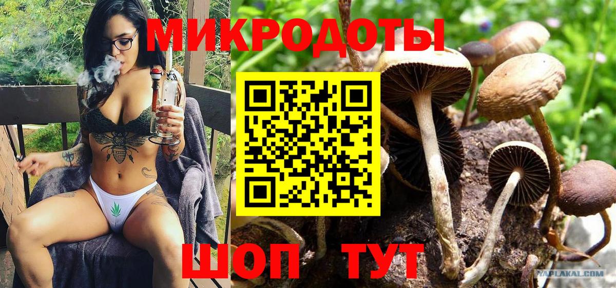 Галлюциногенные грибы Cubensis Ртищево